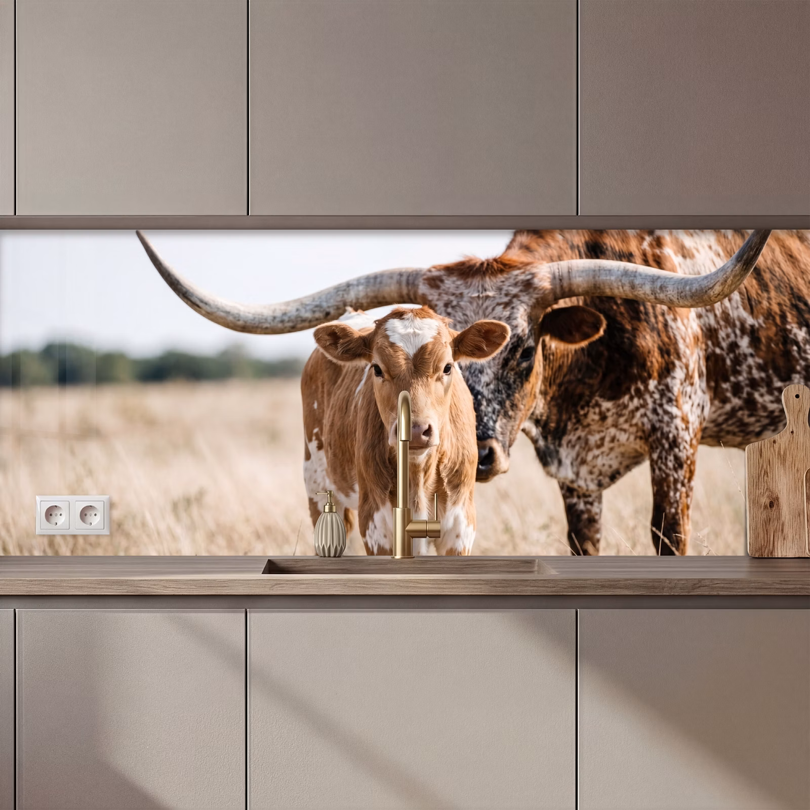 Kitchen splashback - Texas Longhorn - Calf - Pasture - Animals — 1