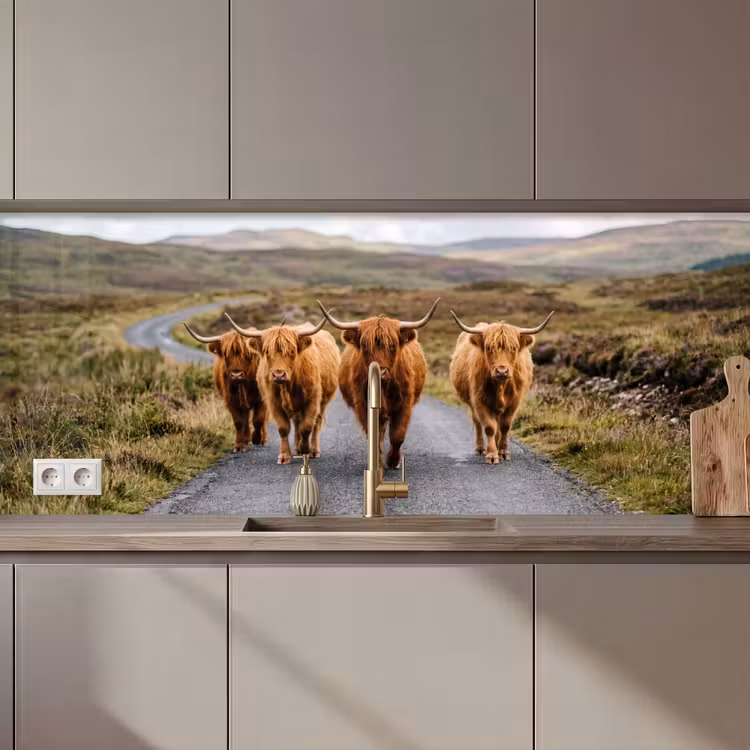 Kitchen splashback - Scottish Highlanders - Road - Landscape - Herd — 1