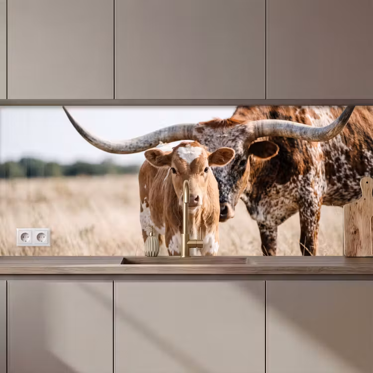 Kitchen splashback - Texas Longhorn - Calf - Pasture - Animals — 1