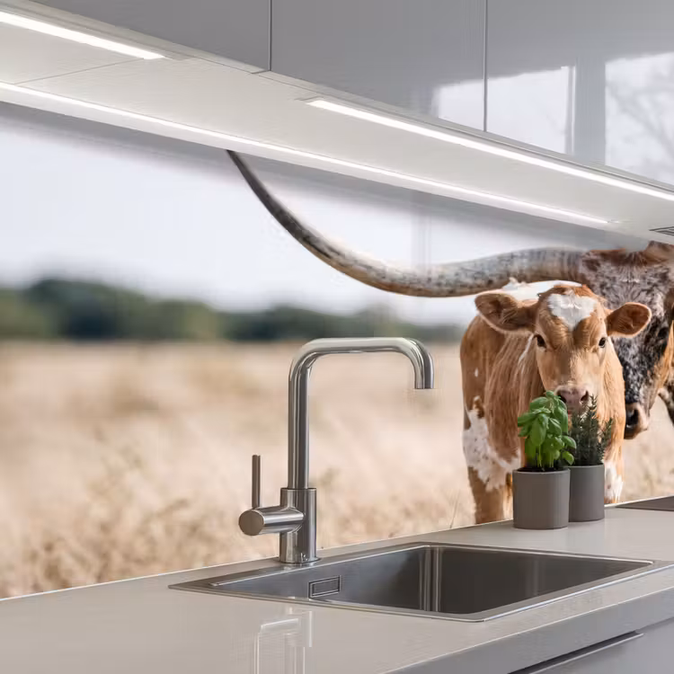 Kitchen splashback - Texas Longhorn - Calf - Pasture - Animals — 2