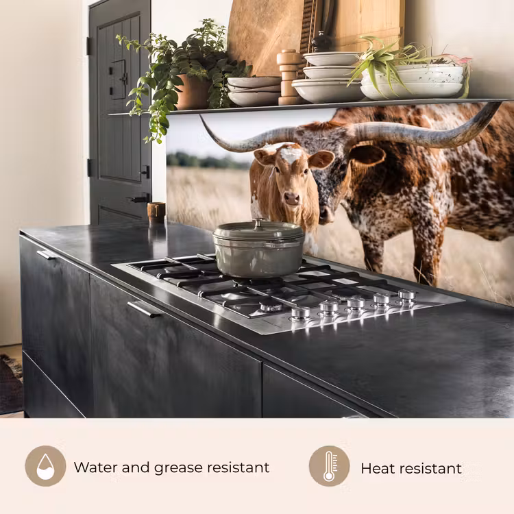 Kitchen splashback - Texas Longhorn - Calf - Pasture - Animals — 5