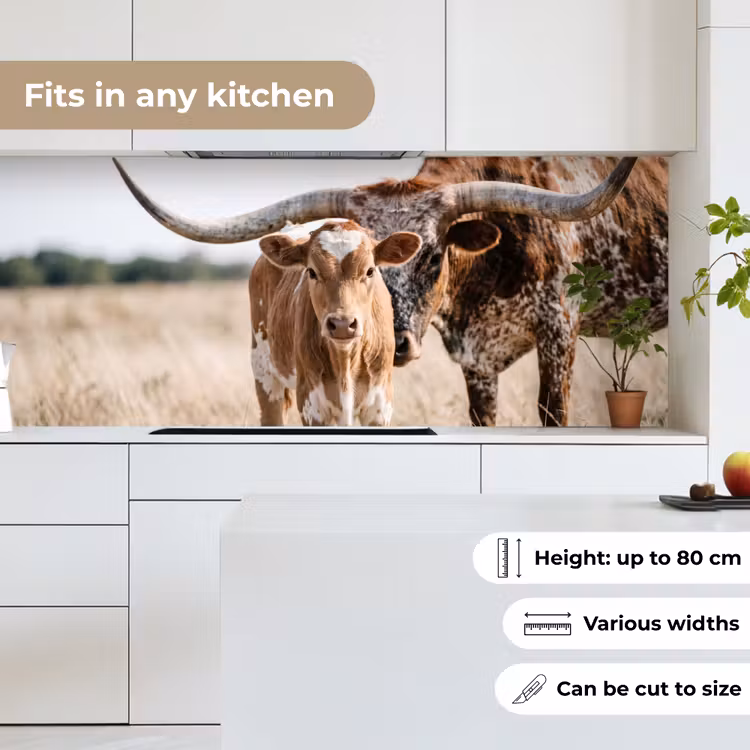 Kitchen splashback - Texas Longhorn - Calf - Pasture - Animals — 7