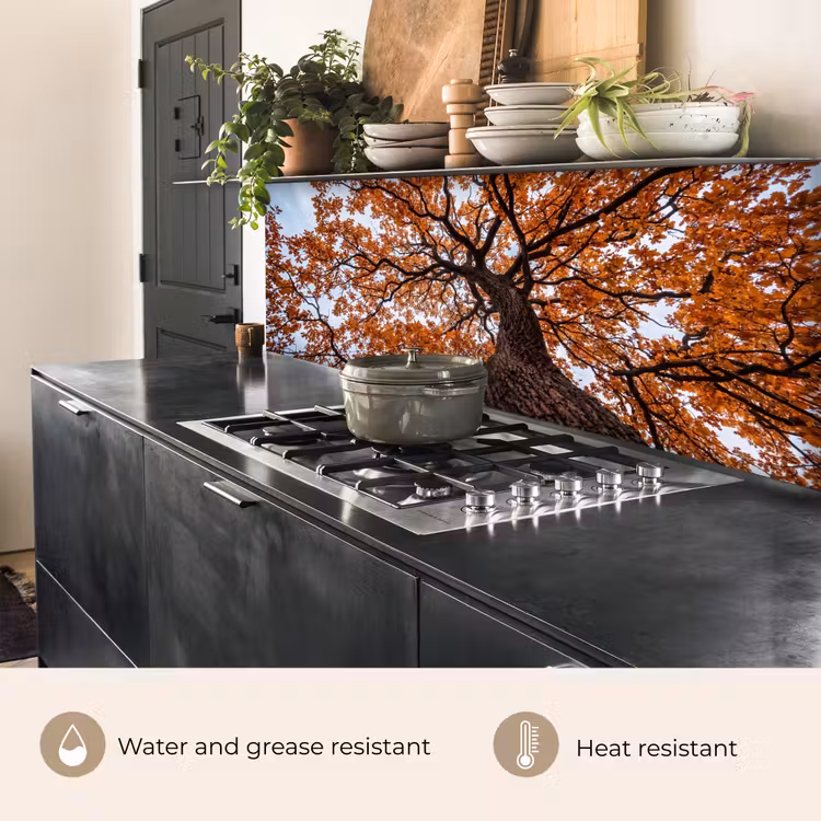 Kitchen splashback - Tree - Canopy - Autumn - Orange - Atmospheric — 5