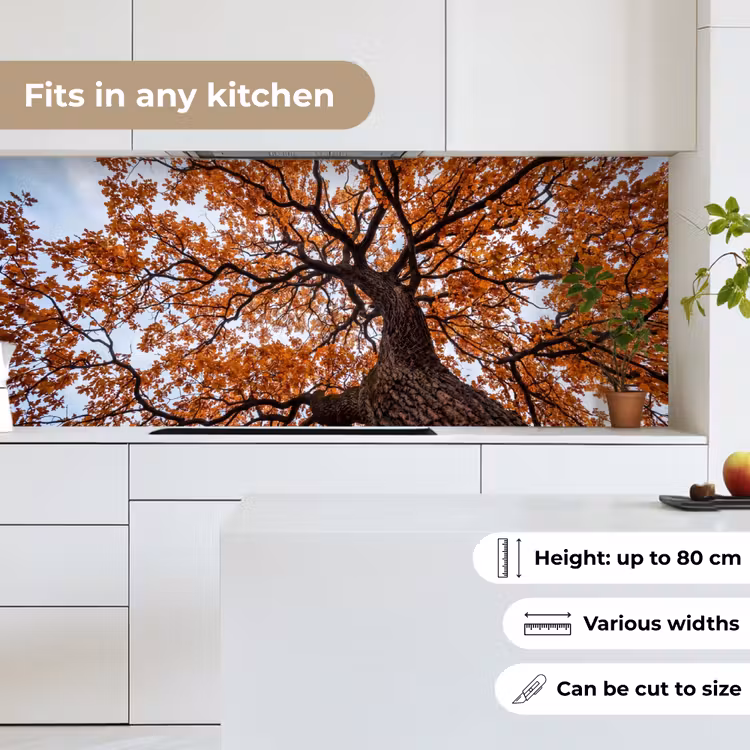 Kitchen splashback - Tree - Canopy - Autumn - Orange - Atmospheric — 7