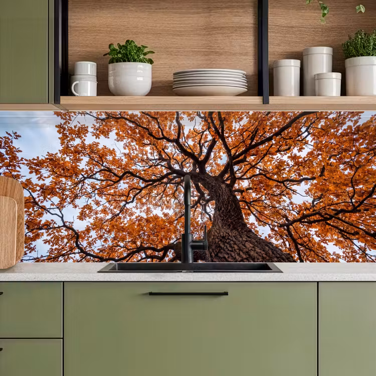 Kitchen splashback - Tree - Canopy - Autumn - Orange - Atmospheric — 8