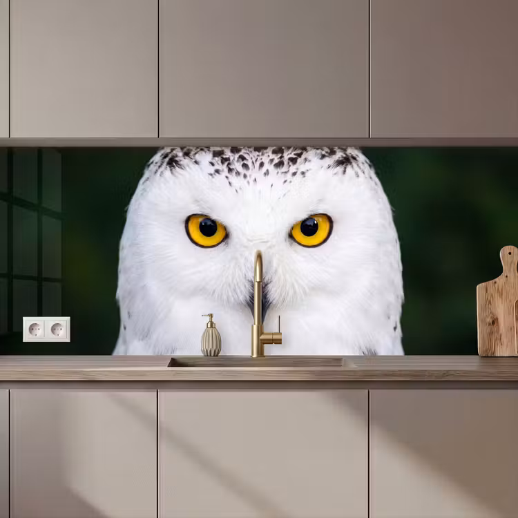 Kitchen splashback - Snowy owl - Portrait - Yellow — 1