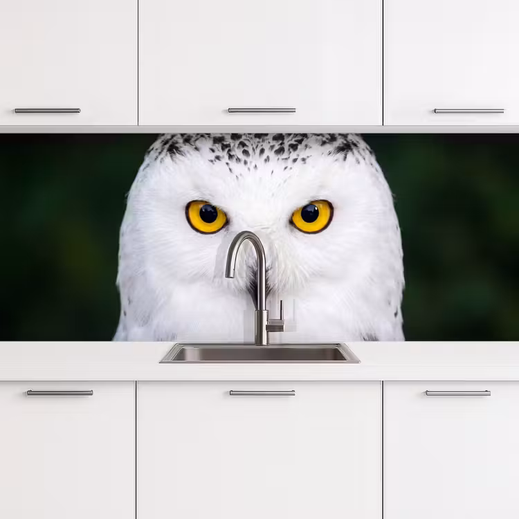 Kitchen splashback - Snowy owl - Portrait - Yellow — 4