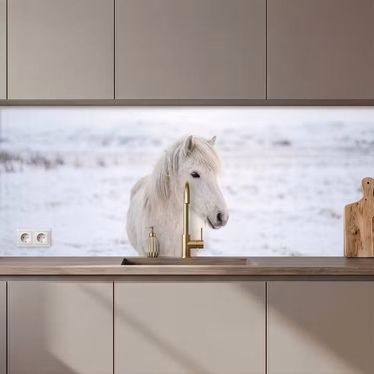 Kitchen splashback - Horse - Head - Winter - Animals - White — 1