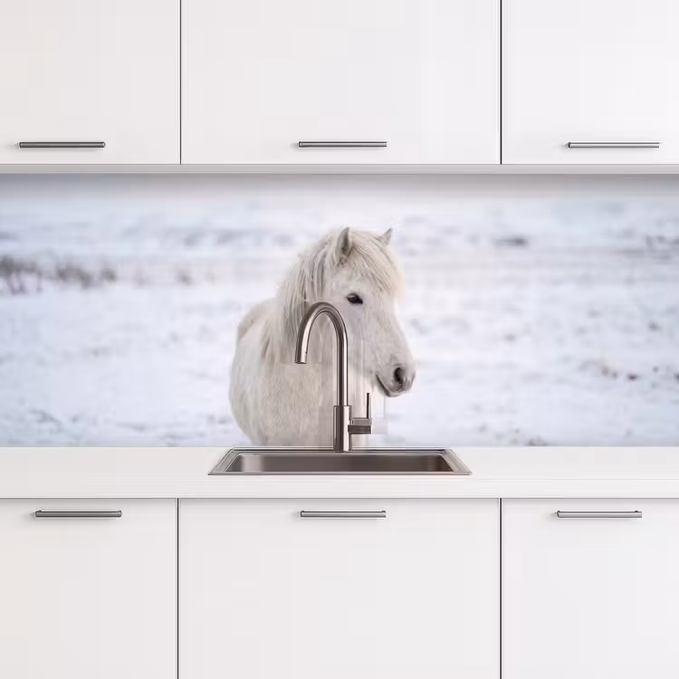 Kitchen splashback - Horse - Head - Winter - Animals - White — 4