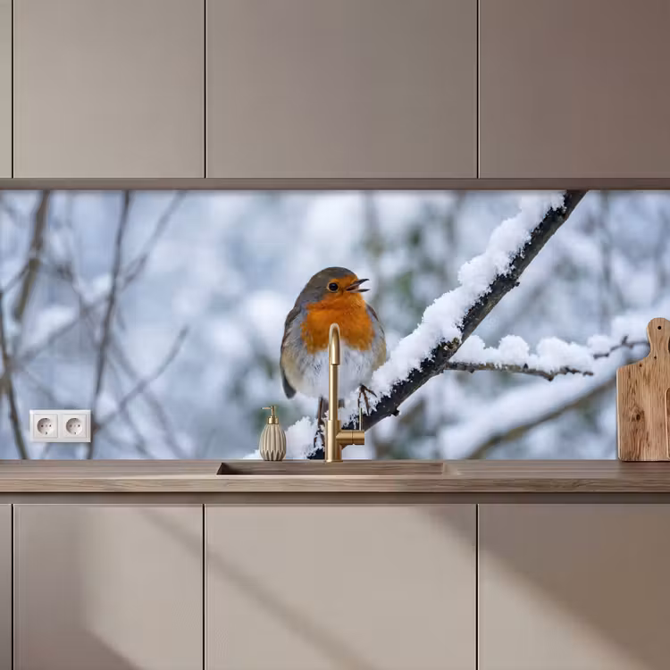 Kitchen splashback - Robin - Branch - Snow - Winter - Lively — 1
