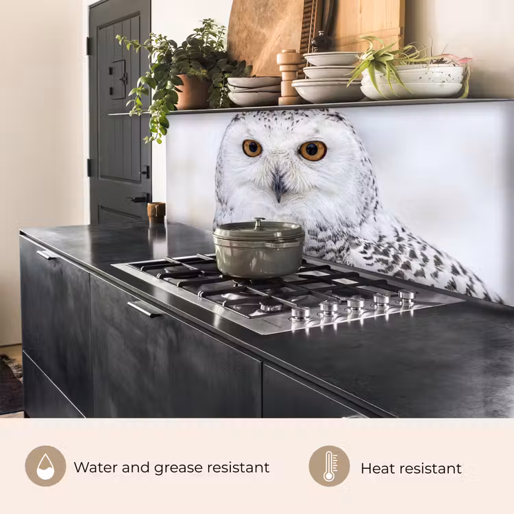 Kitchen splashback - Snowy owl - Eye - Wildlife - White — 5