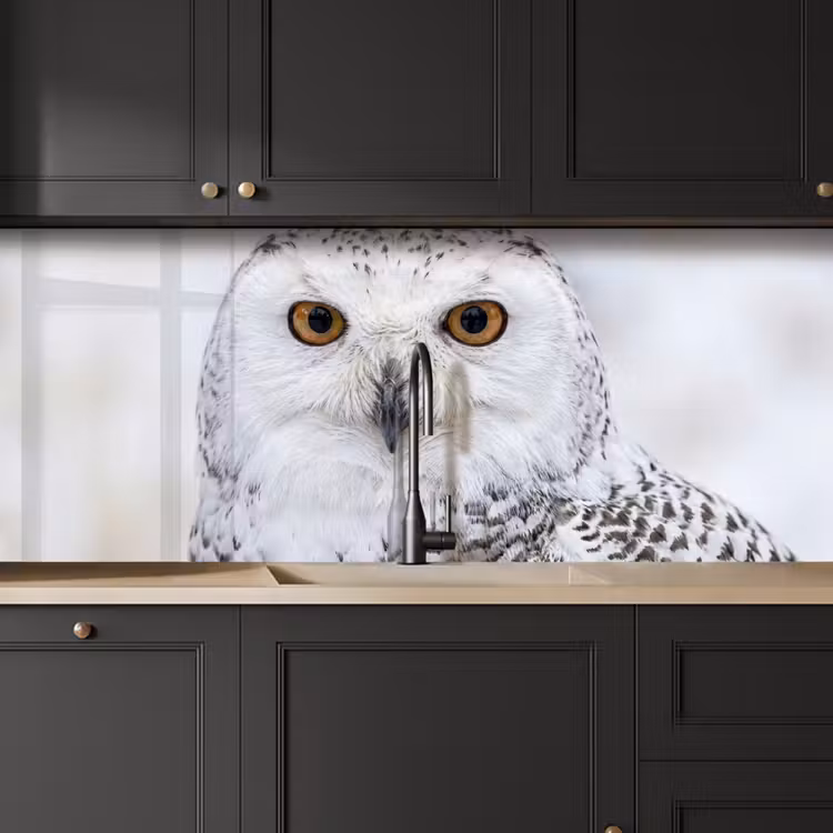 Kitchen splashback - Snowy owl - Eye - Wildlife - White — 6