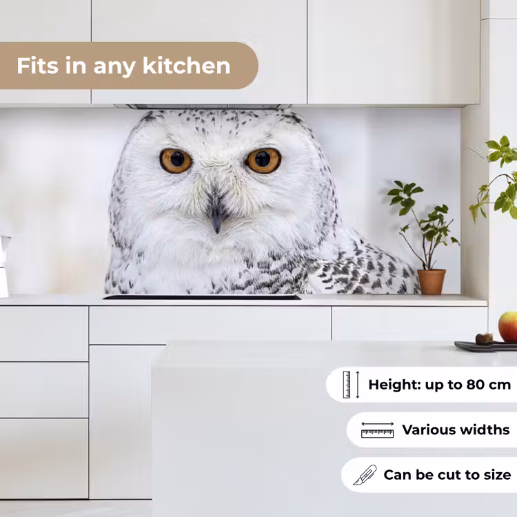 Kitchen splashback - Snowy owl - Eye - Wildlife - White — 7