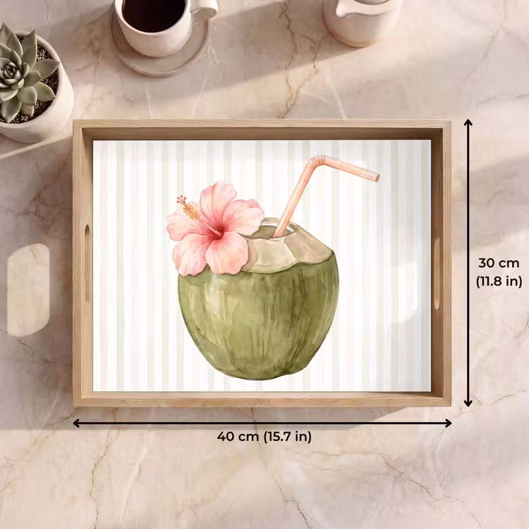 Tray - Coconut - Drink - Tropical - Illustration - Summer — 7