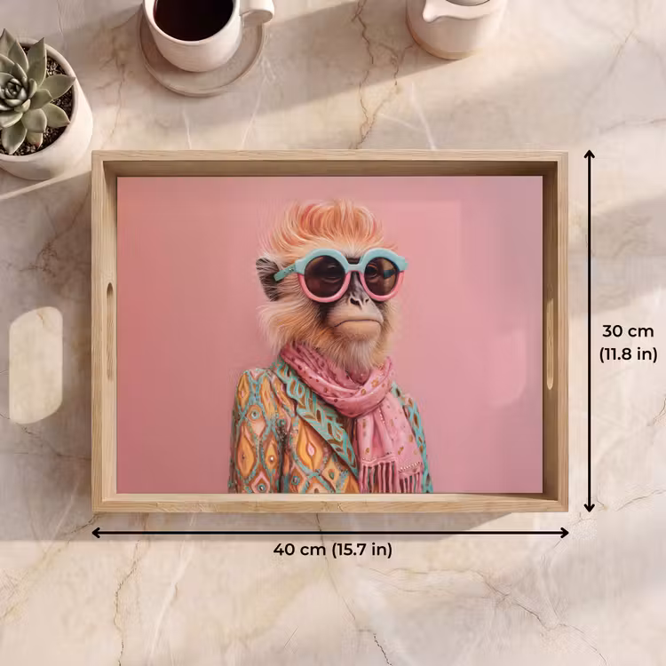 Tray - Scarf - Monkey - Sunglasses - Jacket — 7