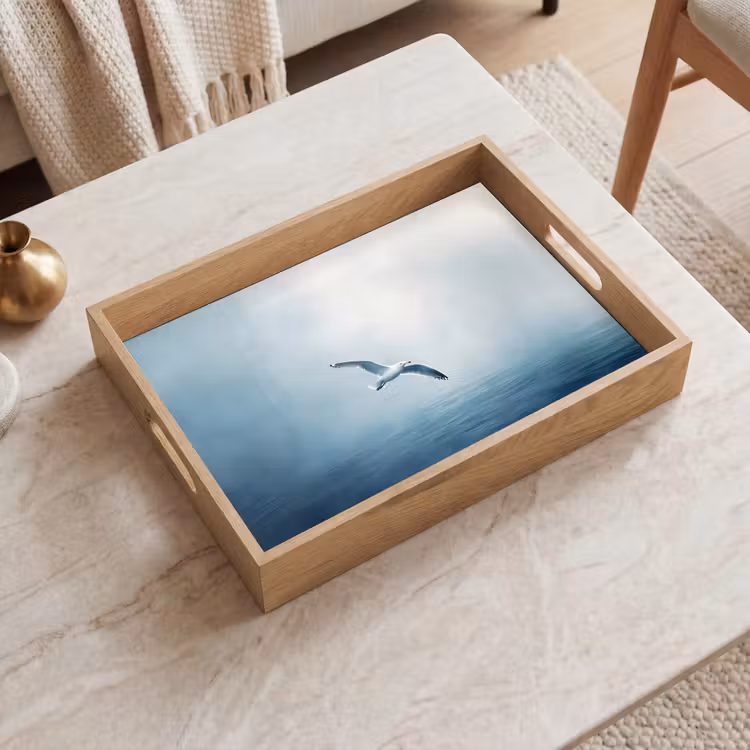 Tray - Gull - White - Sea - Misty — 2