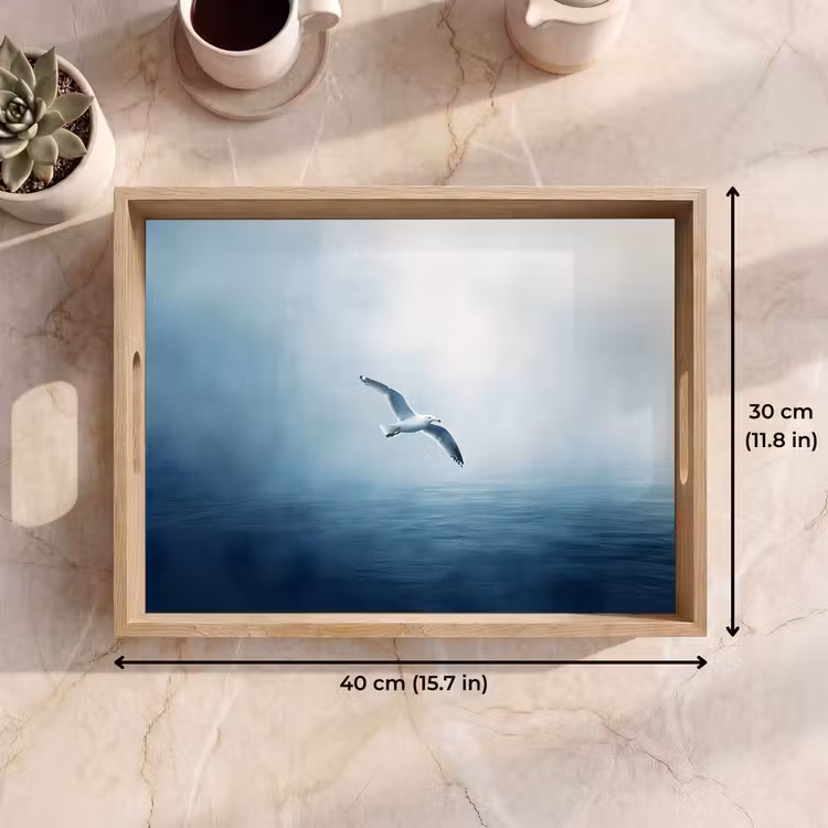 Tray - Gull - White - Sea - Misty — 7