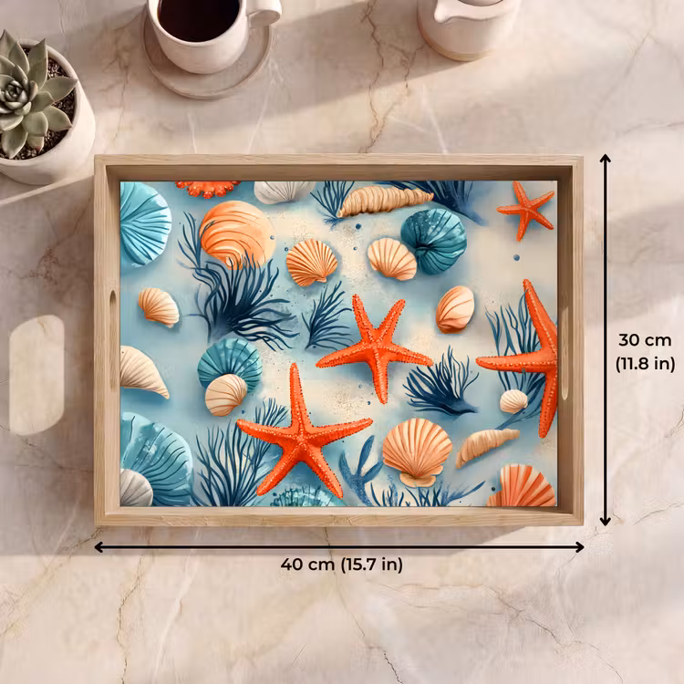 Tray - Starfish - Shells - Illustration - Sand — 7