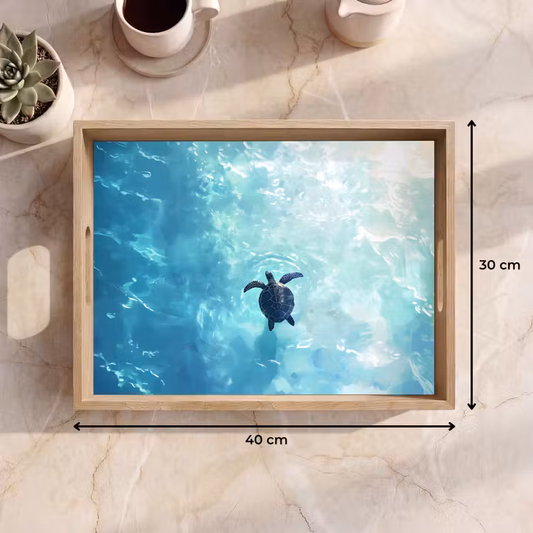 Tray - Turtle - Sea - Blue - Glare — 8
