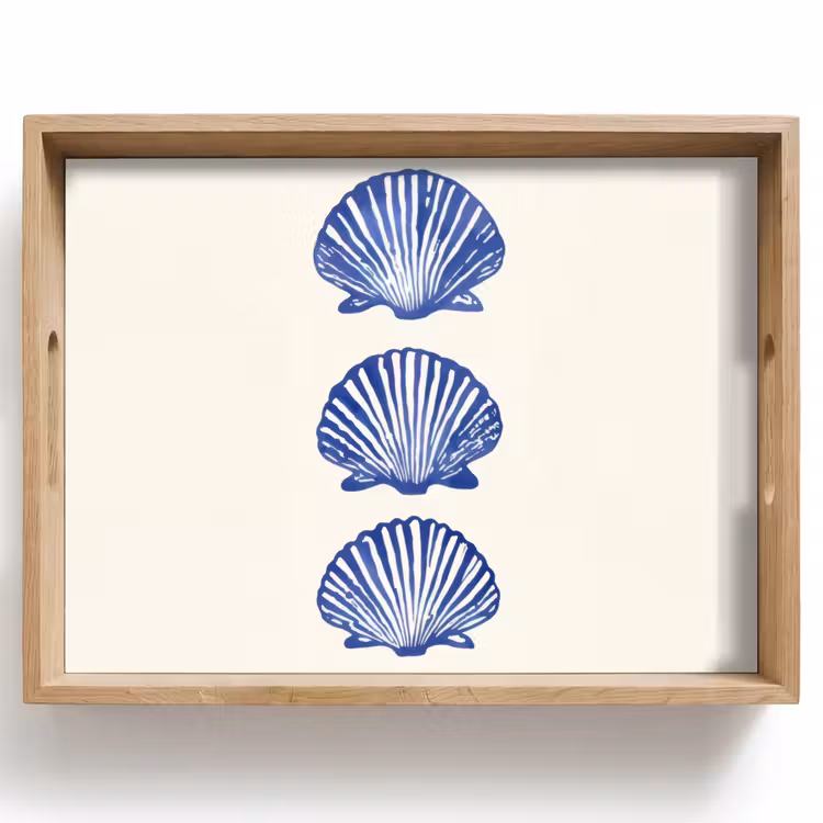 Tray - Shells - Blue - Pattern — 1
