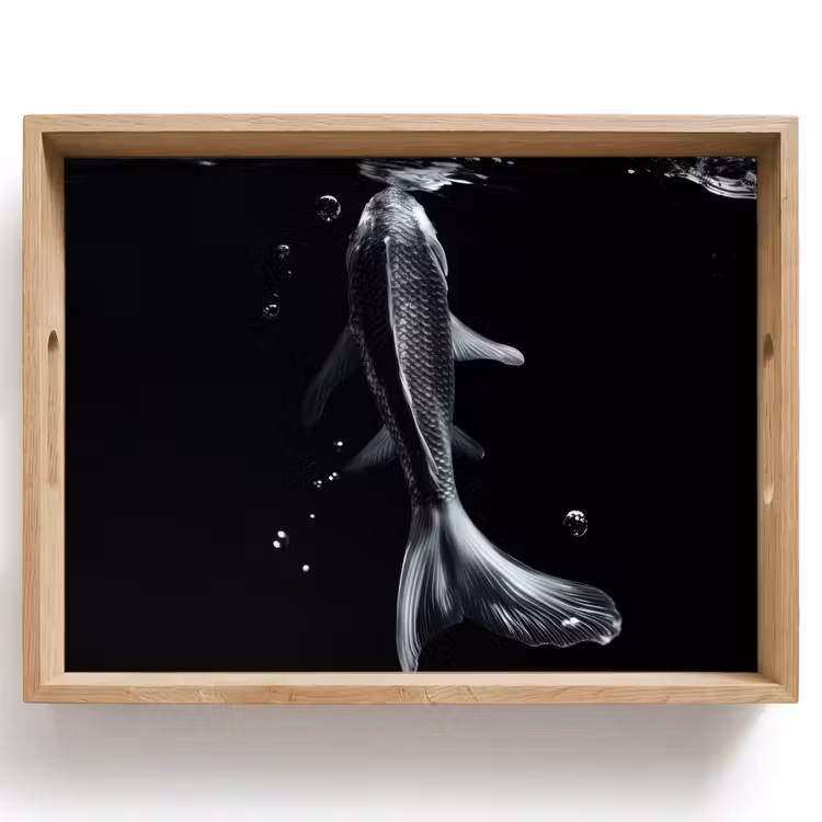 Tray - Koi - Fish - Water - Black — 1