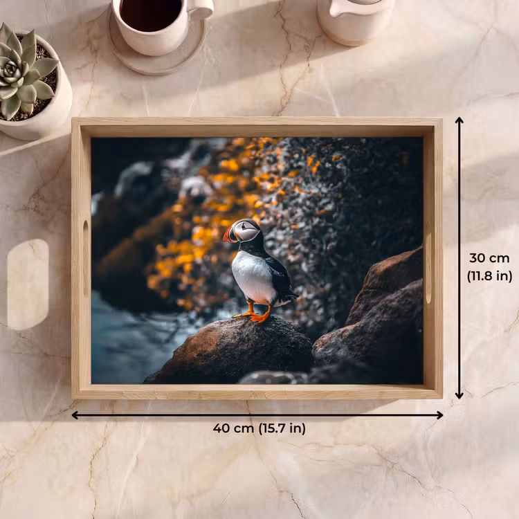 Tray - Parrot - Bird - Rock - White — 7