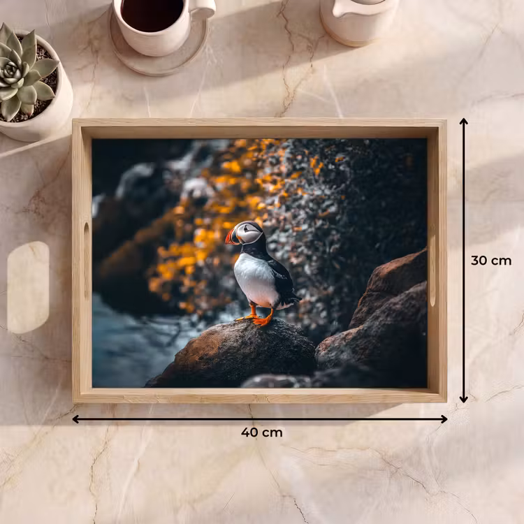 Tray - Parrot - Bird - Rock - White — 8