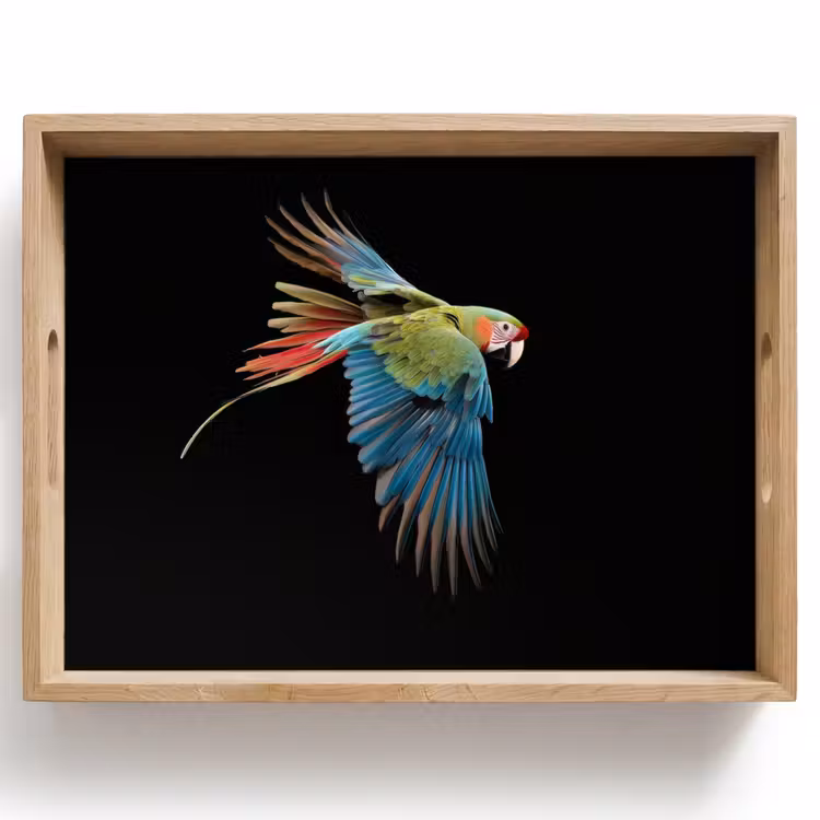 Tray - Parrot - Colorful - Wings - Ornate — 1