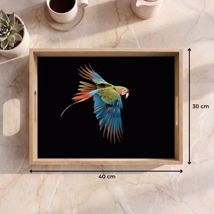 Tray - Parrot - Colorful - Wings - Ornate — 8