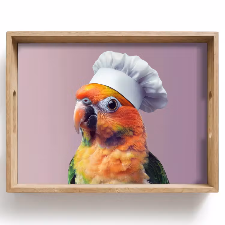 Tray - Parrot - Cook's hat - Curious - Bird — 1