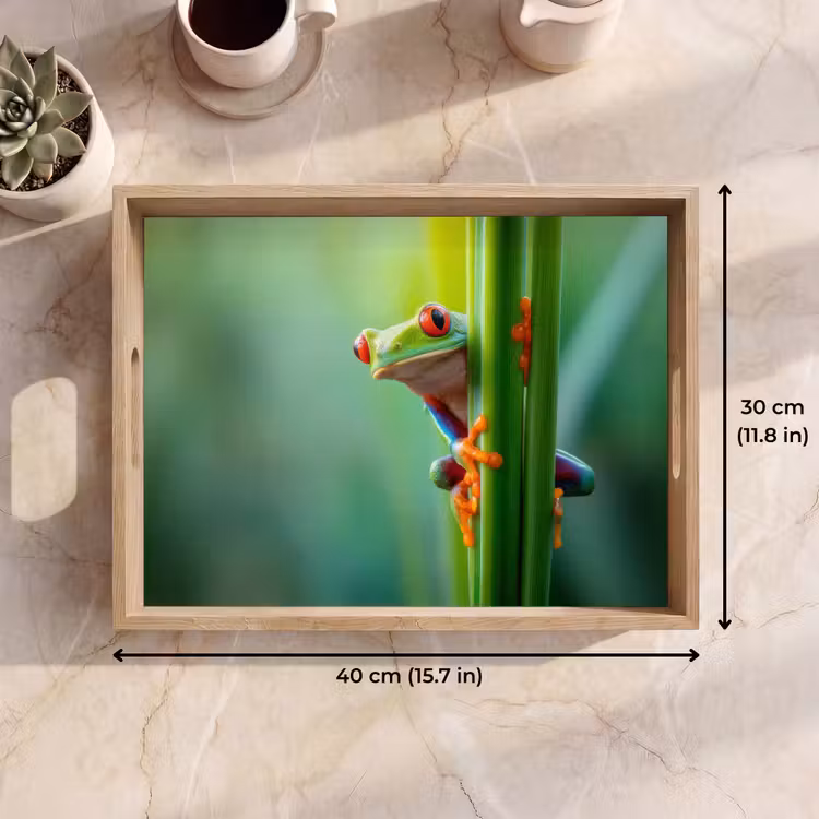 Tray - Green frog - Curious - Grass — 7