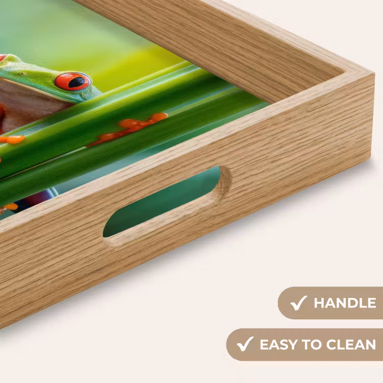 Tray - Green frog - Curious - Grass — 9