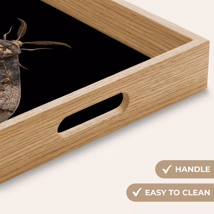 Tray - Moth - Leafy - Gray — 9