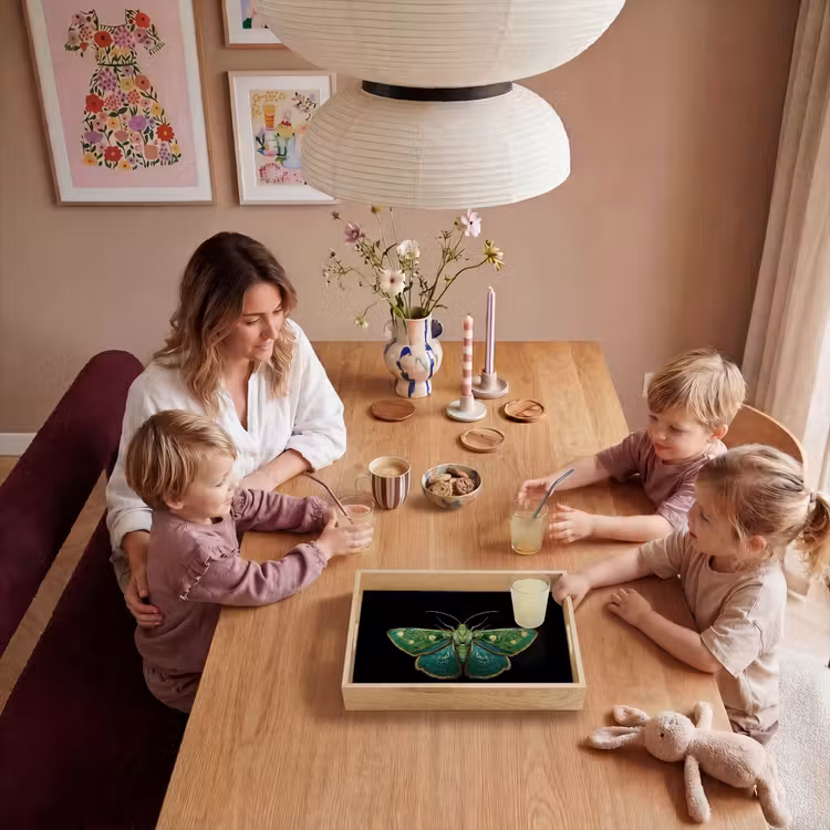Tray - Moth - Lively - Green — 5