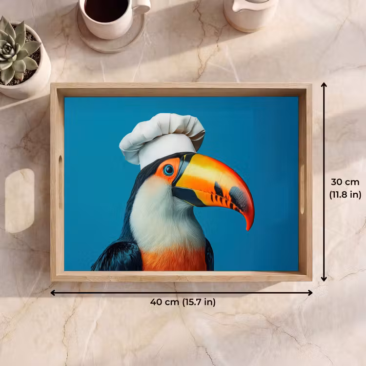 Tray - Toucan - Parrot - Bird - Cook's hat — 7