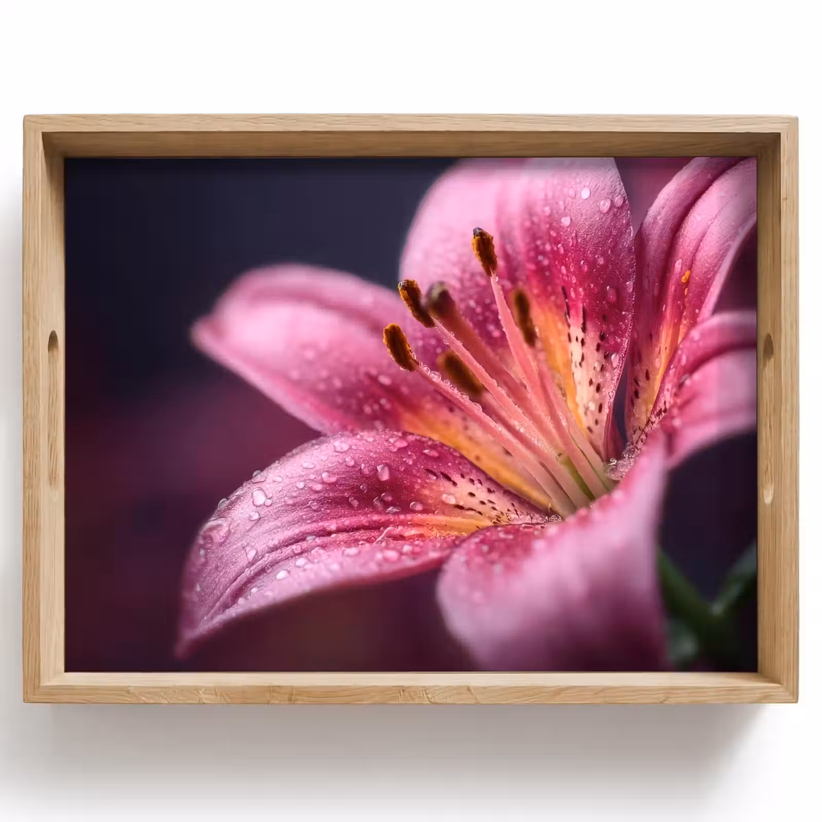 Tray - Pink - lily - Dewdrops — 1