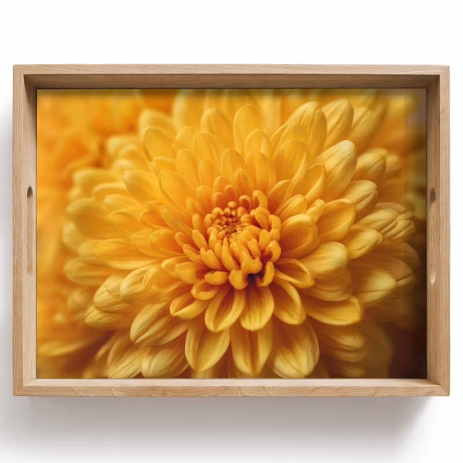 Tray - Yellow - Chrysanthemum - Softness — 1