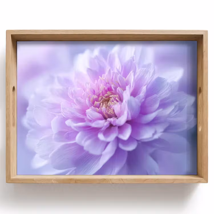 Tray - Purple - Dahlia - Dreamy — 1