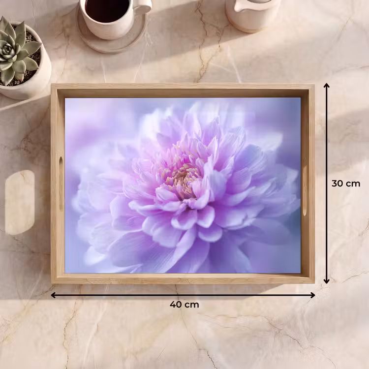 Tray - Purple - Dahlia - Dreamy — 8
