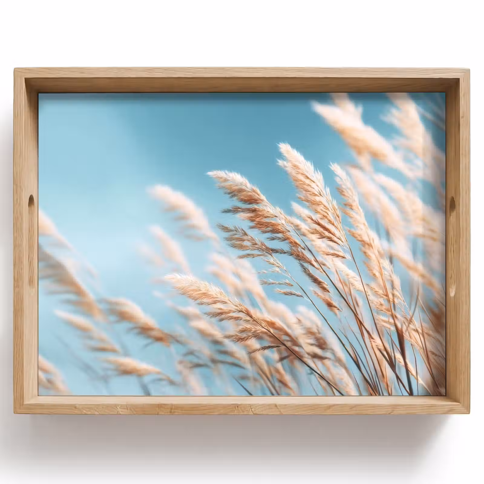 Tray - Ornamental grass - Wind - Light brown — 1