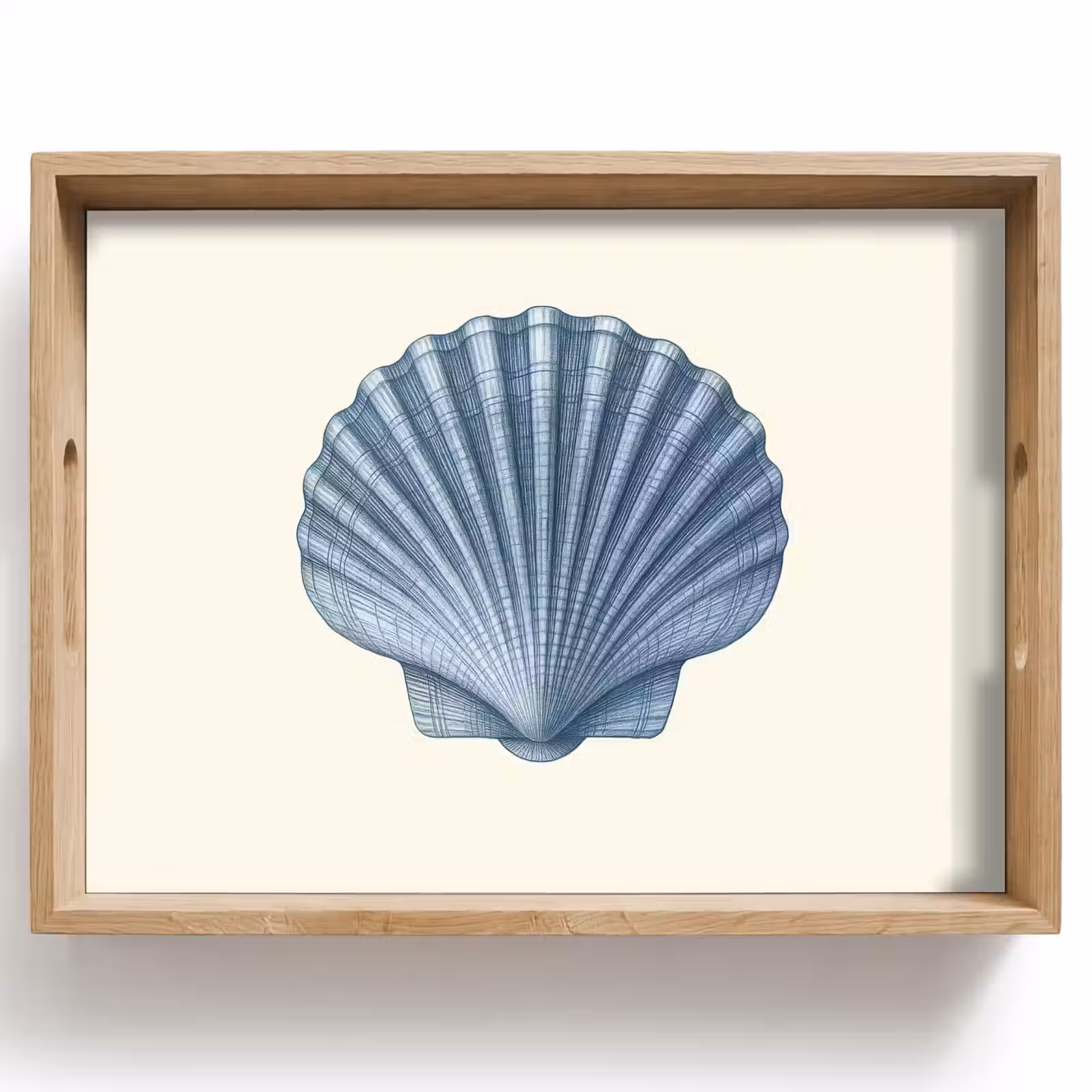 Tray - Ribbing - Blue - Shell — 1