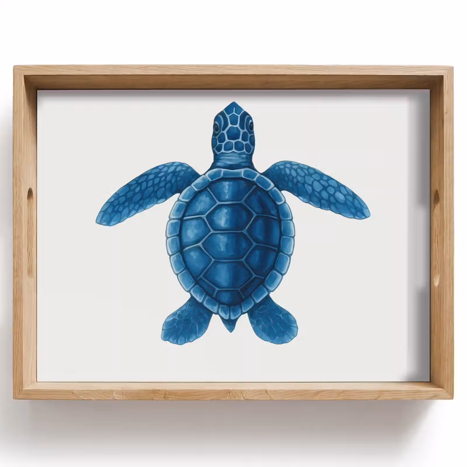 Tray - Turtle - Blue - Shield — 1
