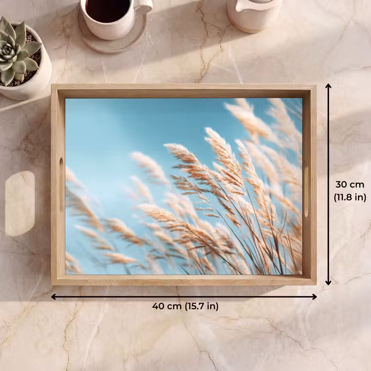 Tray - Ornamental grass - Wind - Light brown — 7