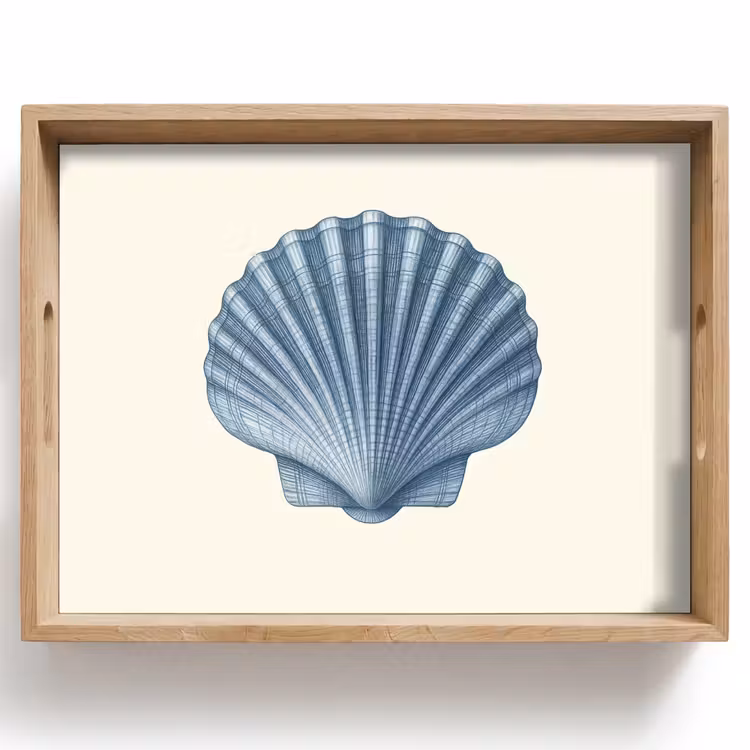Tray - Ribbing - Blue - Shell — 1