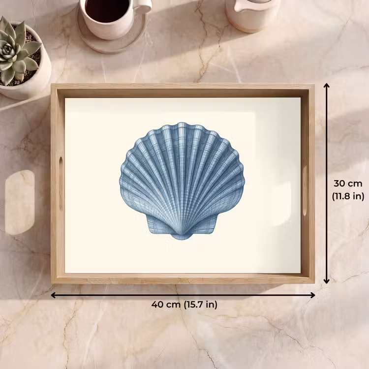 Tray - Ribbing - Blue - Shell — 7