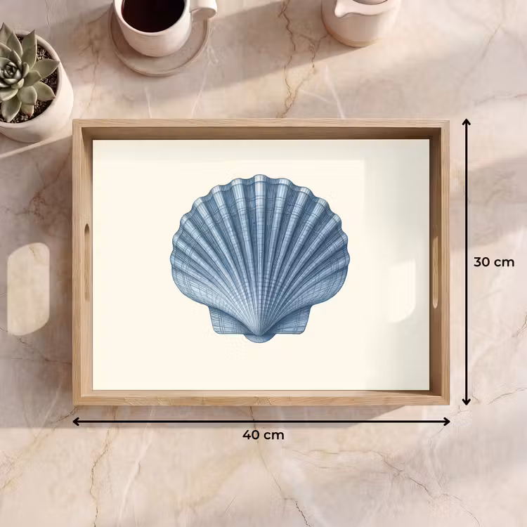 Tray - Ribbing - Blue - Shell — 8
