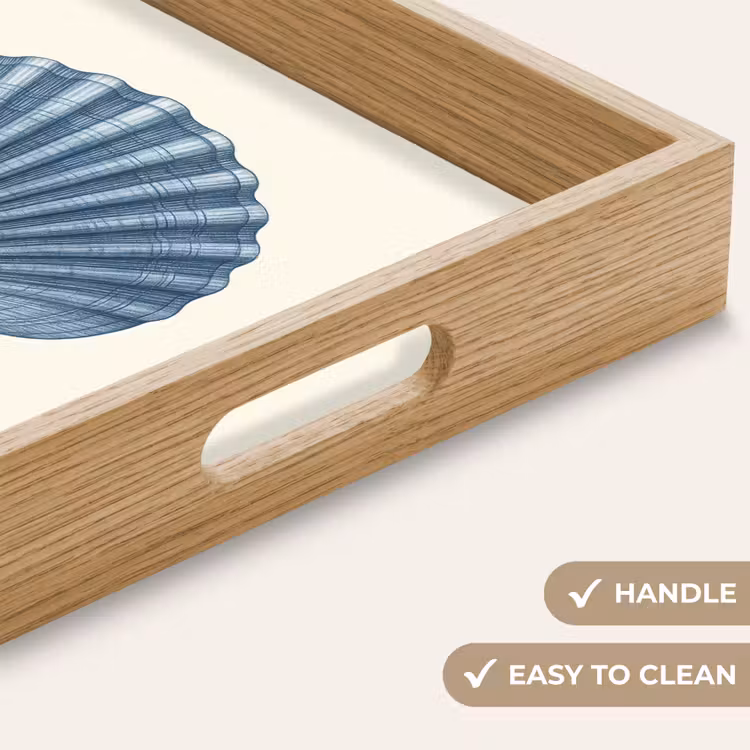 Tray - Ribbing - Blue - Shell — 9