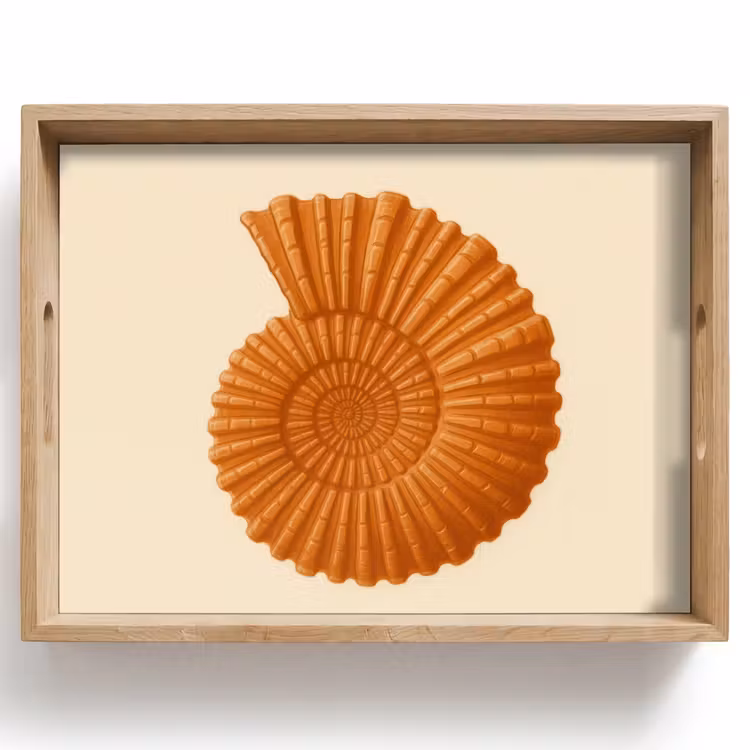 Tray - Shell - Orange - Ribbed — 1