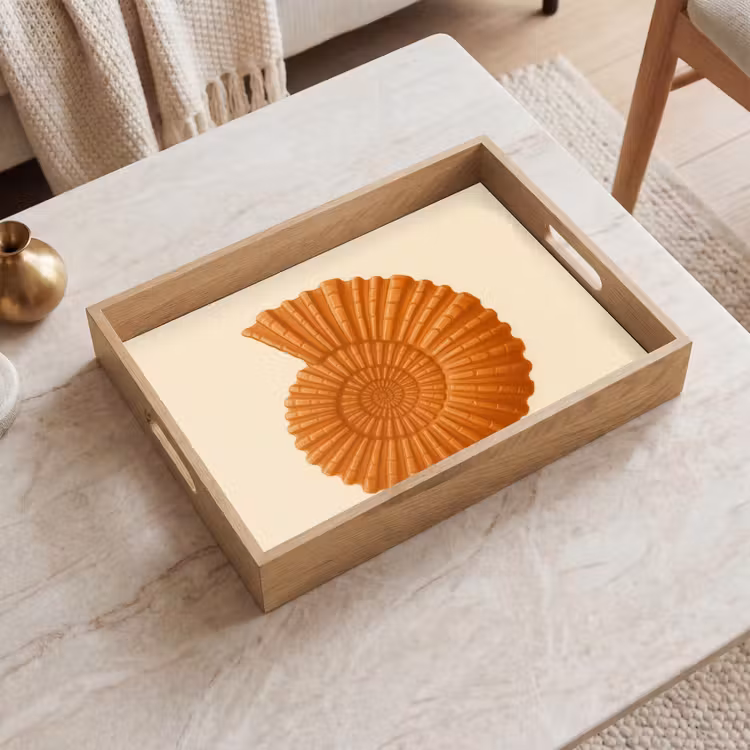 Tray - Shell - Orange - Ribbed — 2