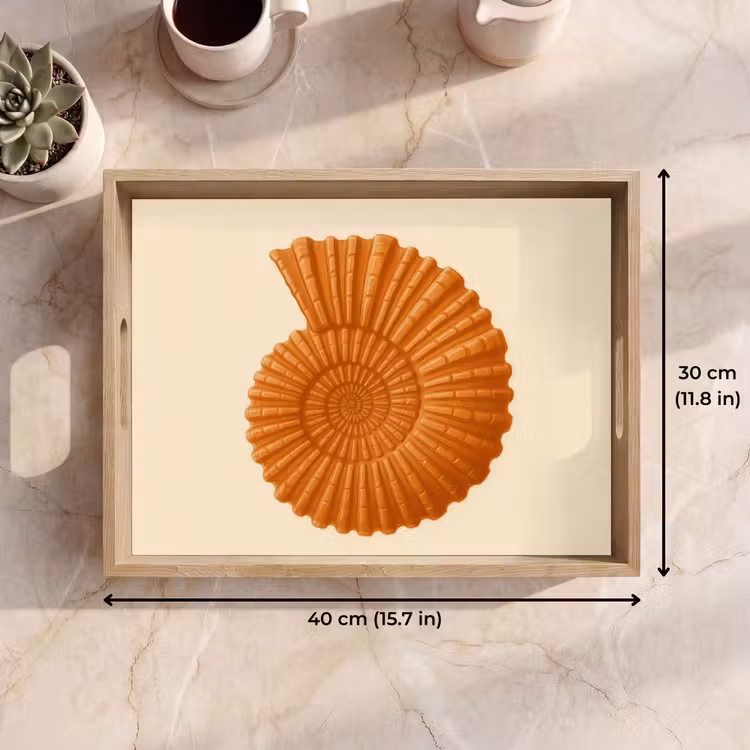 Tray - Shell - Orange - Ribbed — 7